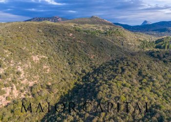 Foto 3 - Terreno agricolo SP110, Padru - foto 3