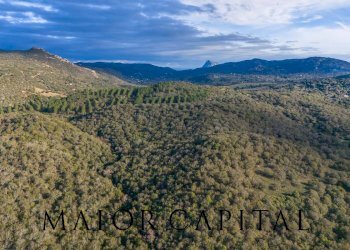 Foto 4 - Terreno agricolo SP110, Padru - foto 4