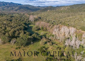 Foto 5 - Terreno agricolo SP110, Padru - foto 5