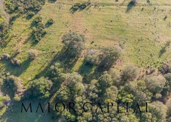 Foto 10 - Terreno agricolo SP110, Padru - foto 10