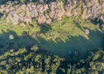 Foto 11 - Terreno agricolo SP110, Padru - foto 11