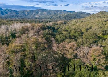 Foto 16 - Terreno agricolo SP110, Padru - foto 16