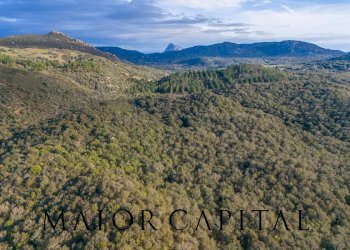 Foto 20 - Terreno agricolo SP110, Padru - foto 20