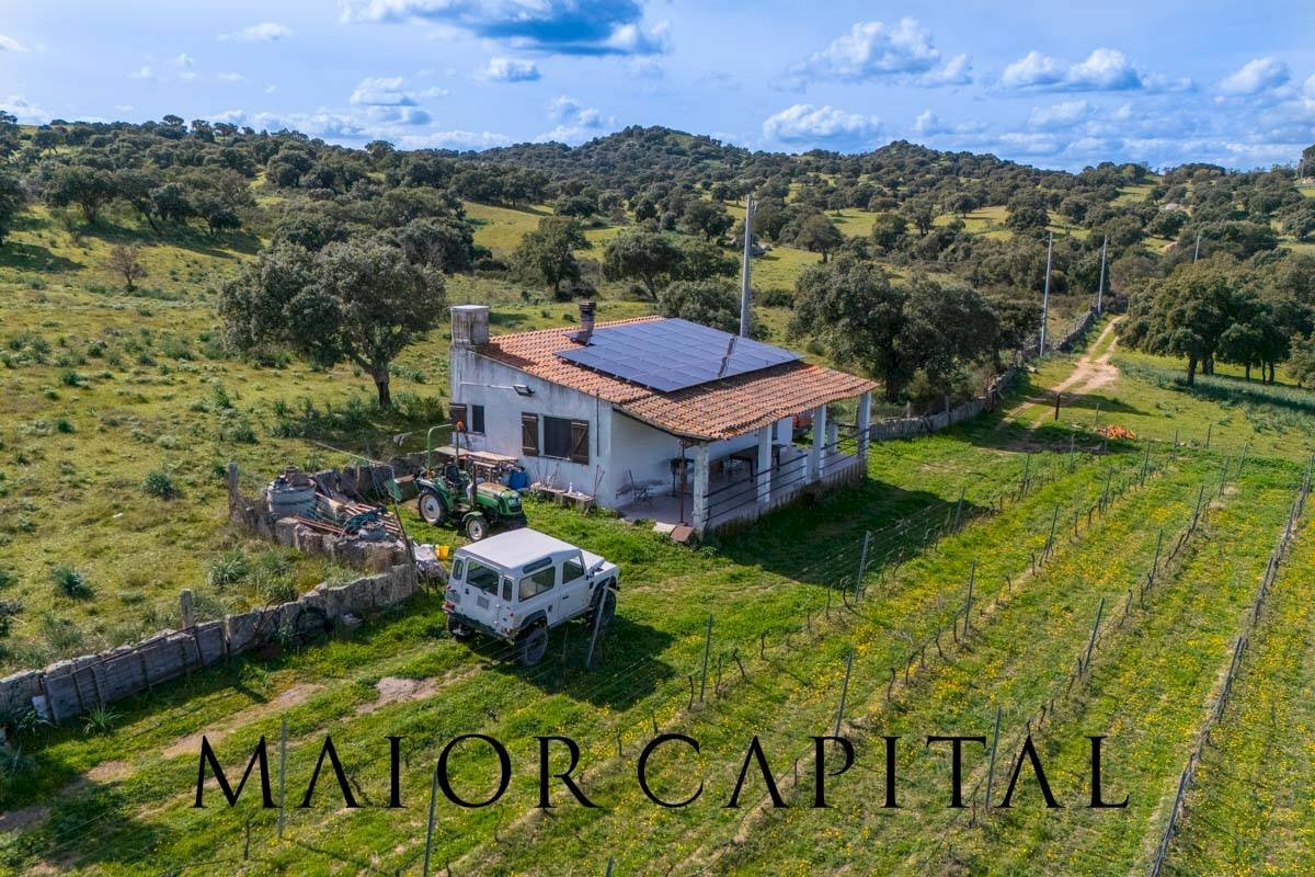 Foto 2 - Agricultural land SS 199, Oschiri - photo 2