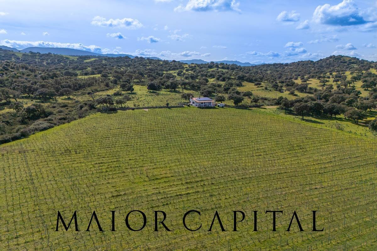 Foto 3 - Agricultural land SS 199, Oschiri - photo 3