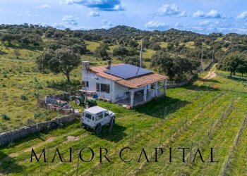 Foto 2 - Terreno agricolo SS 199, Oschiri - foto 2