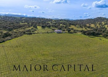 Foto 3 - Terreno agricolo SS 199, Oschiri - foto 3