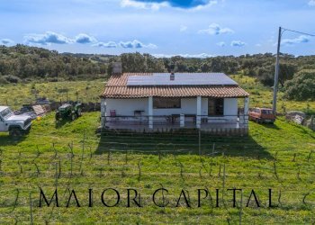 Foto 4 - Terreno agricolo SS 199, Oschiri - foto 4