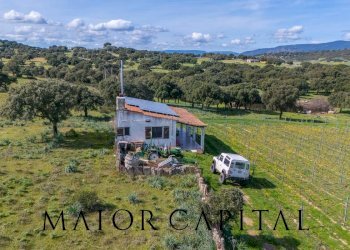 Foto 5 - Terreno agricolo SS 199, Oschiri - foto 5