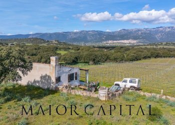 Foto 6 - Terreno agricolo SS 199, Oschiri - foto 6