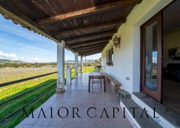 Foto 9 - Terreno agricolo SS 199, Oschiri - foto 9