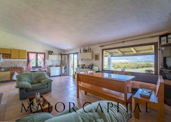 Foto 11 - Terreno agricolo SS 199, Oschiri - foto 11