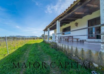 Foto 12 - Terreno agricolo SS 199, Oschiri - foto 12