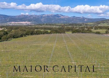 Foto 18 - Terreno agricolo SS 199, Oschiri - foto 18