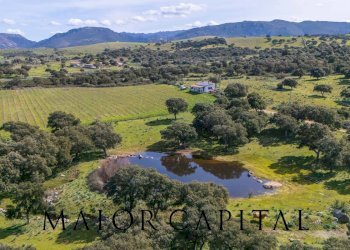 Foto 20 - Terreno agricolo SS 199, Oschiri - foto 20