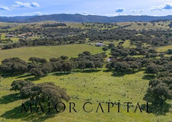 Foto 24 - Terreno agricolo SS 199, Oschiri - foto 24