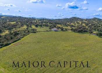 Foto 26 - Terreno agricolo SS 199, Oschiri - foto 26