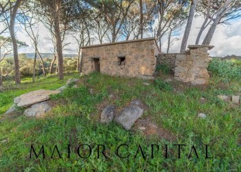 Foto 30 - Casa indipendente Loc. Campo Rotondo, Tempio Pausania - foto 30