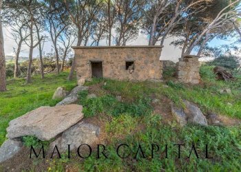 Foto 31 - Casa indipendente Loc. Campo Rotondo, Tempio Pausania - foto 31