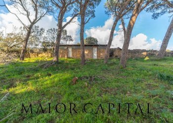 Foto 32 - Casa indipendente Loc. Campo Rotondo, Tempio Pausania - foto 32