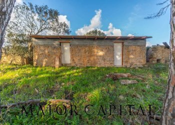 Foto 33 - Casa indipendente Loc. Campo Rotondo, Tempio Pausania - foto 33