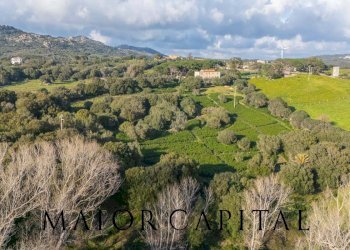 Foto 40 - Casa indipendente Loc. Campo Rotondo, Tempio Pausania - foto 40