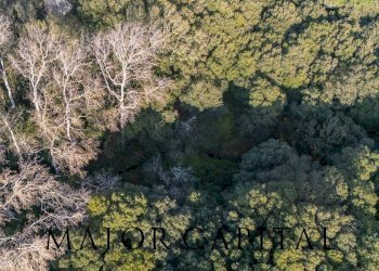 Foto 41 - Casa indipendente Loc. Campo Rotondo, Tempio Pausania - foto 41