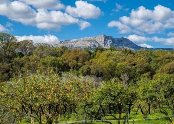 Foto 26 - Independent house Loc. Artucanu, Siniscola - photo 26