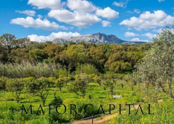 Foto 27 - Independent house Loc. Artucanu, Siniscola - photo 27