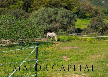 Foto 30 - Independent house Loc. Artucanu, Siniscola - photo 30