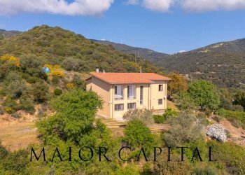 Foto 36 - Villa Strada Provinciale 2, Tula
 
snc, Tula - foto 36