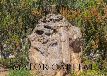 Foto 37 - Villa Loc. Sos Aranzos
 
snc, Golfo Aranci - foto 37