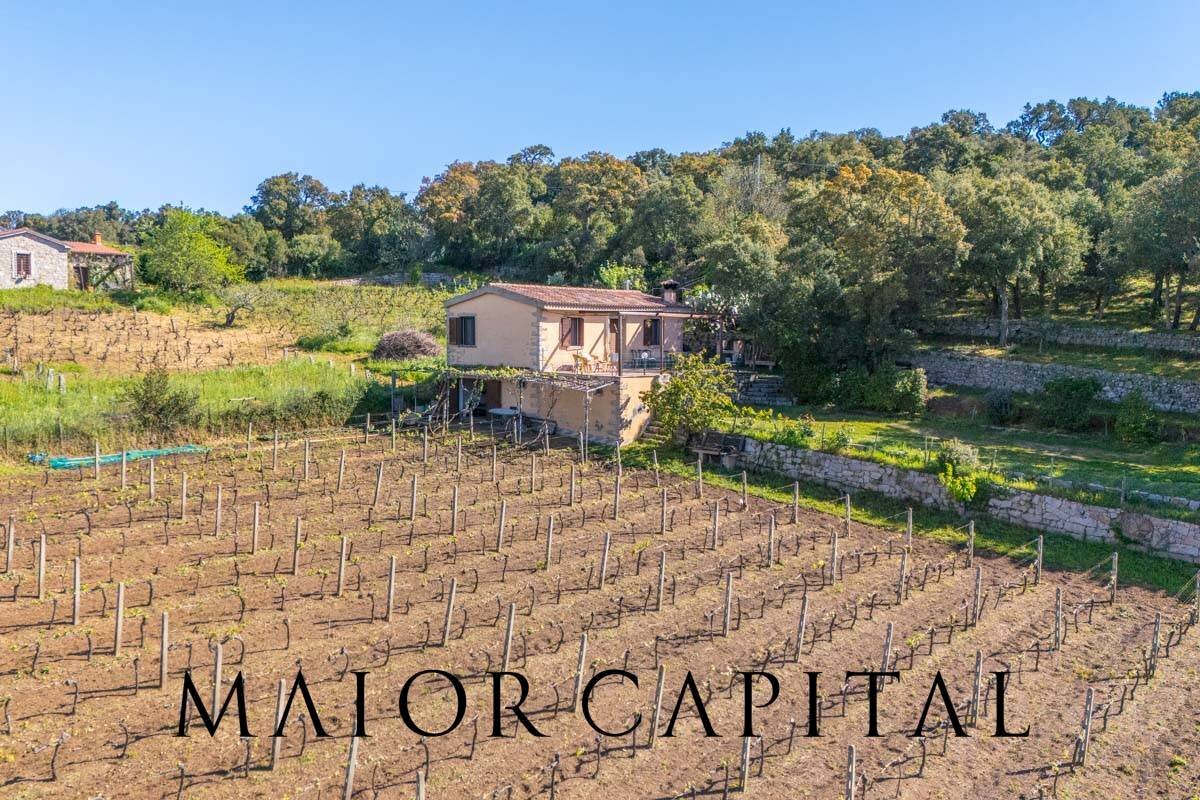 Foto 2 - Casa indipendente Loc. la Talga
snc, Calangianus - foto 2