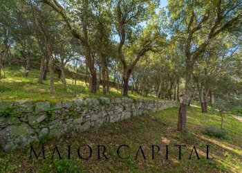 Foto 25 - Casa indipendente Loc. la Talga
 
snc, Calangianus - foto 25