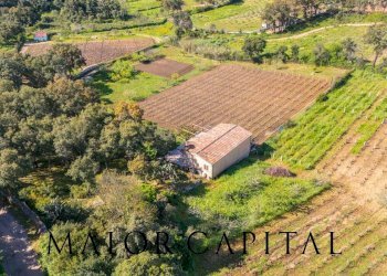 Foto 35 - Casa indipendente Loc. la Talga
 
snc, Calangianus - foto 35