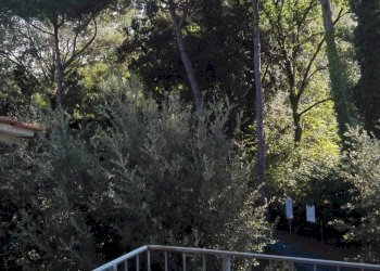 Foto 25 - Villa Forte dei Marmi - foto 25