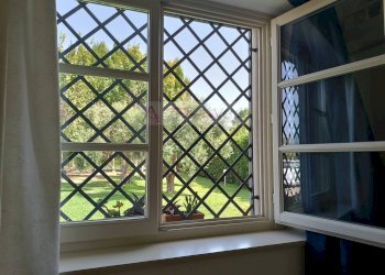 Foto 29 - Villa Forte dei Marmi - foto 29