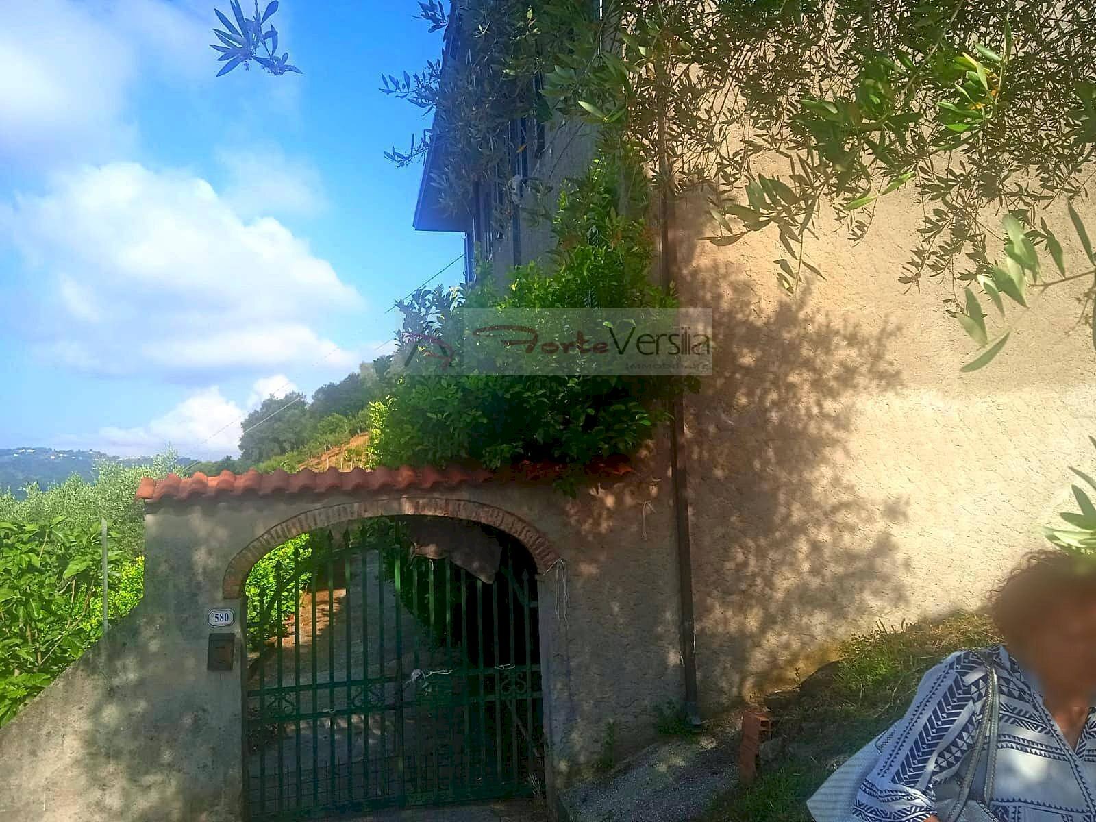 Foto 2 - Rustico Camaiore - foto 2