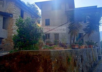 Foto 1 - Rustico Camaiore - foto 1