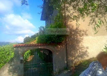 Foto 2 - Rustico Camaiore - foto 2