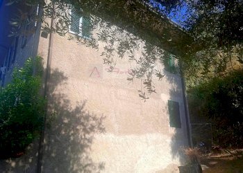 Foto 5 - Rustico Camaiore - foto 5