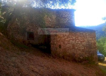 Foto 7 - Rustico Camaiore - foto 7