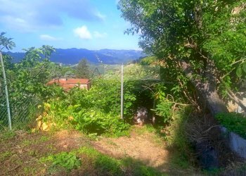 Foto 8 - Rustico Camaiore - foto 8