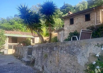 Foto 10 - Rustico Camaiore - foto 10