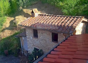 Foto 12 - Rustico Camaiore - foto 12