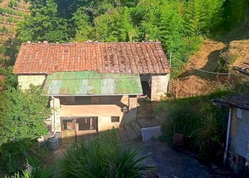 Foto 13 - Rustico Camaiore - foto 13