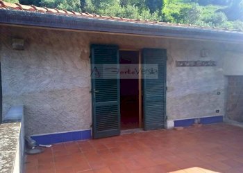 Foto 14 - Rustico Camaiore - foto 14