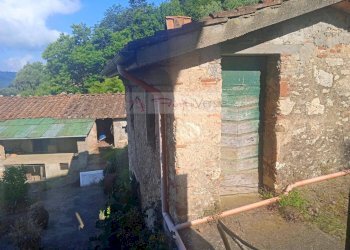 Foto 19 - Rustico Camaiore - foto 19