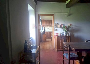 Foto 36 - Rustico Camaiore - foto 36