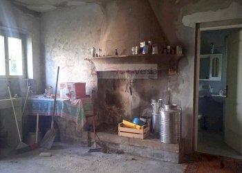 Foto 40 - Rustico Camaiore - foto 40